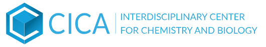 CICA Talks